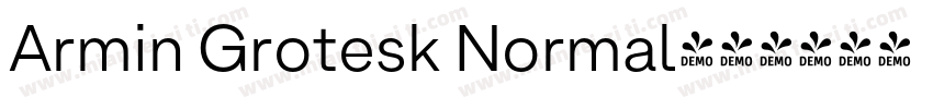 Armin Grotesk Normal字体转换